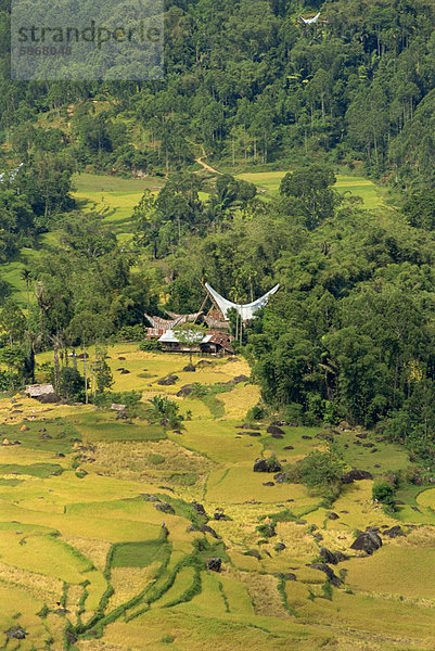 Tal  Toraja Bereich  Sulawesi  Indonesien  Südostasien  Asien