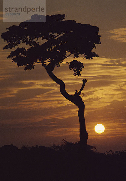 Die Bujagali-Falls in der Morgendämmerung  Uganda  Ostafrika  Afrika