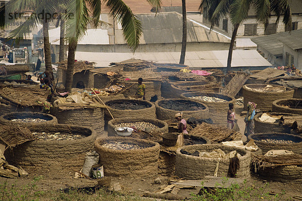 Frauen  die Trocknung von Fisch über Holzkohle  Elmina  Ghana  Westafrika  Afrika