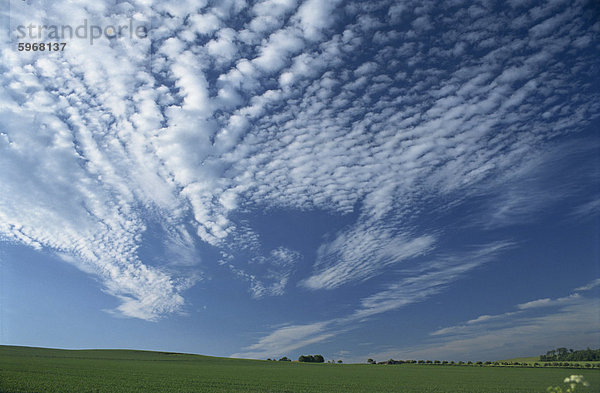 Weiße Wolken blauer Himmel über Ackerland in der Nähe von Eynsford im Tal Darent  North Downs  in der Nähe von Sevenoaks  Kent  England  Vereinigtes Königreich  Europa