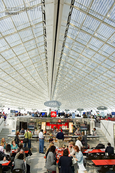 Charles de Gaulle Airport  Paris  Frankreich  Europa