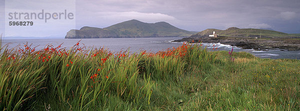 Doulus Bay und Doulus Kopf  Valentia island  Ring of Kerry  Munster  Irland  Europa