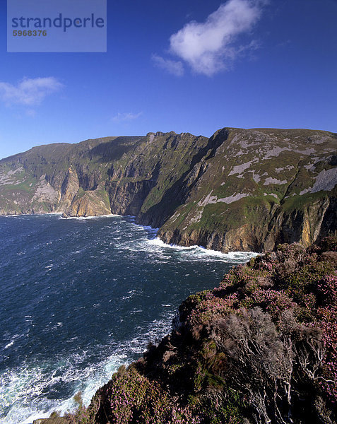 Slieve League  der höchsten Klippen in Europa  Bunglass Point  County Donegal  Ulster  Republik Irland  Europa