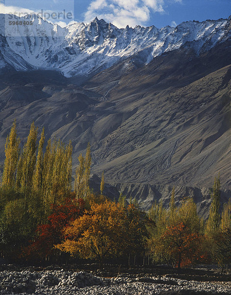 Bäume in Herbstfarben und Berge bei Khaplu in Gilgit-Baltistan in Pakistan  Asien