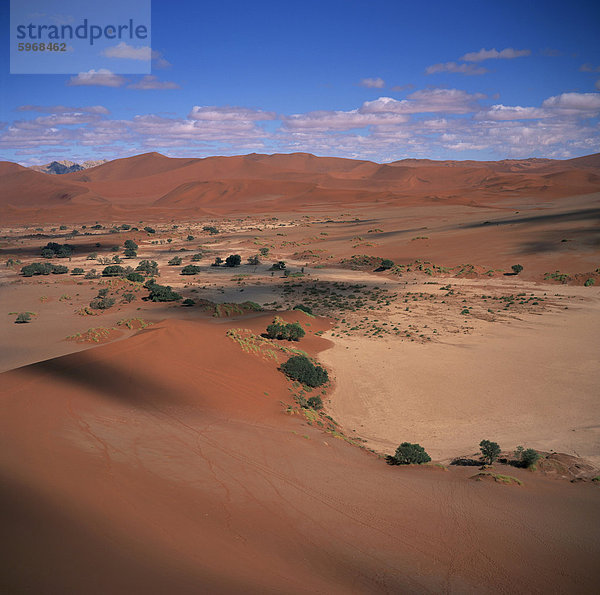 Die Sanddünen Soussusvlei Naukluft Park in der Namib-Wüste in Namibia  Afrika