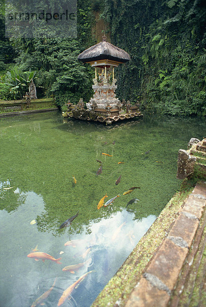 Wasser-Tempel  Bali  Indonesien  Südostasien  Asien