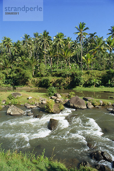 Flusstal bei Kupa Kupa Barong  in der Nähe von Ubud  Bali  Indonesien  Südostasien  Asien