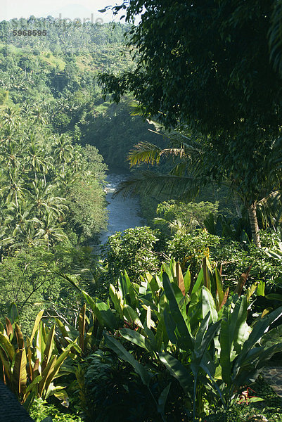 Ubud-Bereich  Bali  Indonesien  Südostasien  Asien