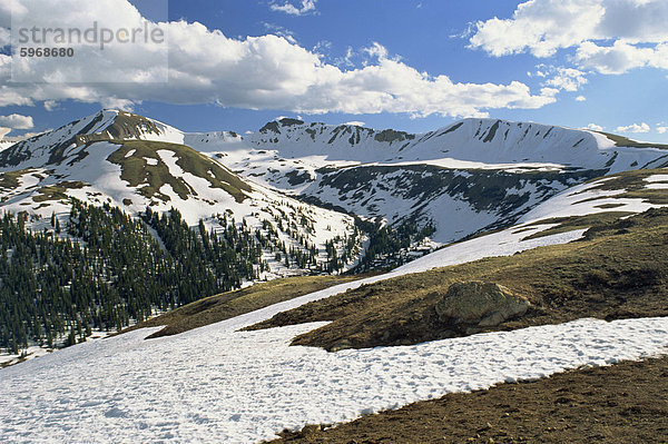 Schneelandschaft im Juni am Independence Pass  Höhe 12095 ft  in der Sawatch Bergen  Teil der Rocky Mountains  in Aspen  Colorado  Vereinigte Staaten von Amerika  Nordamerika