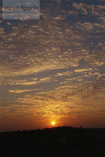Sonnenuntergang auf Dünen in der Nähe von Khimsar  Rajasthan  Indien  Asien