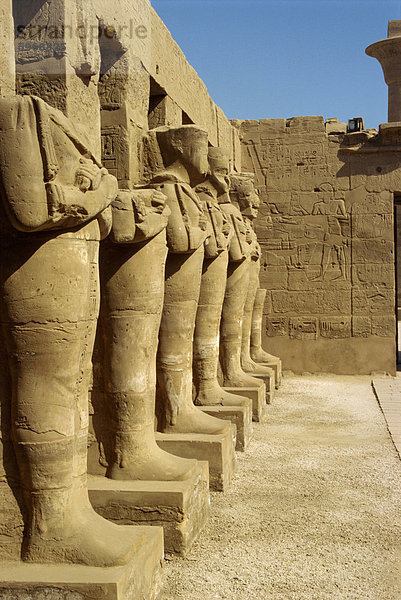 Tempel von Karnak  Theben  UNESCO World Heritage Site  Ägypten  Nordafrika  Afrika