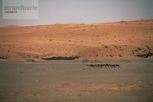 Beduinen und Kamele in der Wüste Wahiba Sands  Sharqiyah Region  Oman  Mittlerer Osten