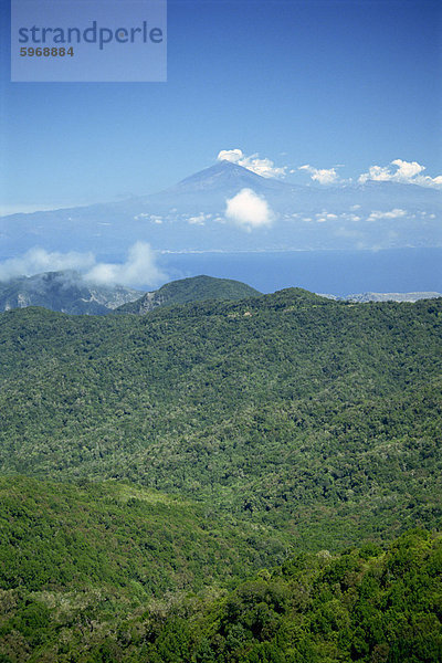 Nationalpark Garajonay  UNESCO-Weltkulturerbe  mit Teneriffa im Hintergrund  La Gomera  Kanaren  Spanien  Atlantik  Europa Garajonay Nationalpark