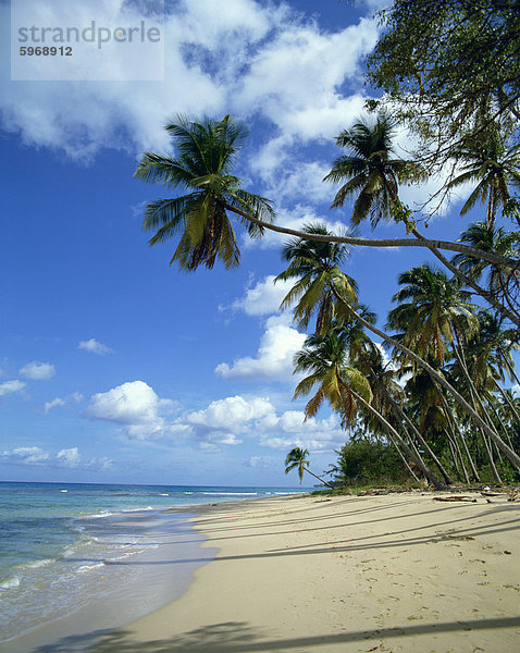 Barbados  Westindische Inseln  Karibik  Mittelamerika