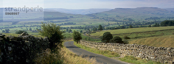 In Richtung Wensleydale-Tal  Yorkshire Dales National Park  Yorkshire  England  Vereinigtes Königreich  Europa