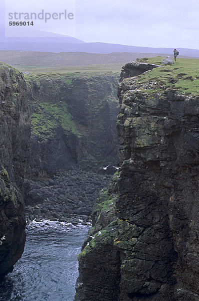 Eshaness Basaltfelsen  Calders Geo  alten Vulkankrater  Küste  tief ausgehöhlt mit Höhlen  Lunker und Stacks  Northmavine  Shetland Islands  Schottland  Vereinigtes Königreich  Europa
