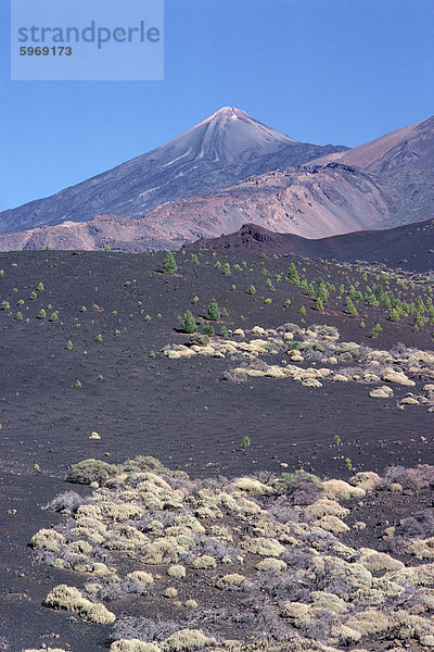 Mount Teide  Teneriffa  Kanarische Inseln  Spanien  Atlantik  Europa