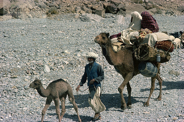 Baluchi Nomaden  Bolan-Pass  Belutschistan  Pakistan  Asien