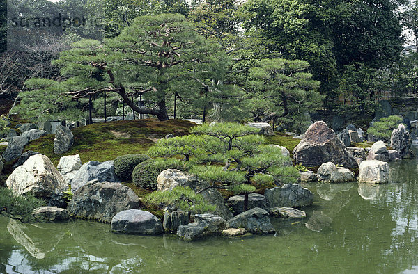 Garten  Schloss Nijo  Kyoto  Japan  Asien