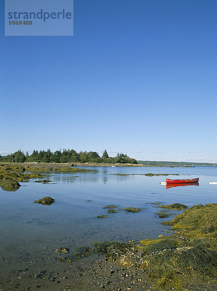 Coastal sceney auf Deer Isle  Maine  New England  Vereinigte Staaten von Amerika  Nordamerika