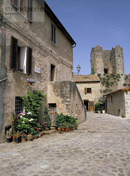 Mittelalter Europa Blume Wohnhaus Dorf Erfolg aufheben Italien alt Siena Toskana