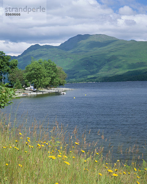 Loch Lomond und Ben Lomond aus nördlich von Luss  Argyll und Bute  Strathclyde  Schottland  Vereinigtes Königreich  Europa