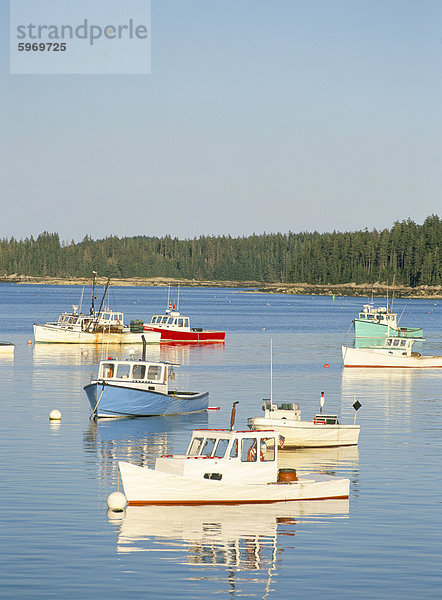 Hummer Boote im Hafen von Stonington  Deer Isle  Maine  New England  Vereinigte Staaten von Amerika  Nordamerika