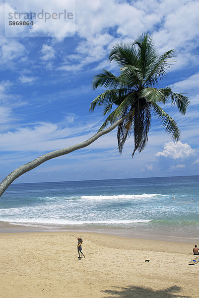 Palm-Baum und Kokos-Verkäufer  Hikkaduwa Strand  Sri Lanka  Asien