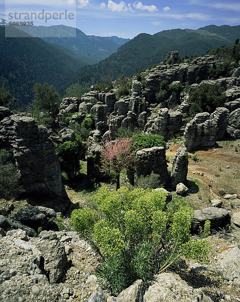 Blütenpflanzen und Felsformationen  Koprolu National Park  Antalya  Türkei  Eurasien