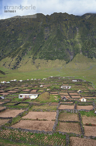 Stone walls divide potato patches  two miles south of settlement  on Tristan da Cunha  Mid Atlantic