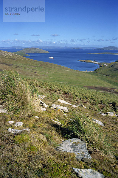 Landschaft auf New Island nach unten Abrechnung und touristischen Schiff in der Bucht  auf Westfalkland in der Falkland-Inseln  Süd-Atlantik  Süd-Amerika