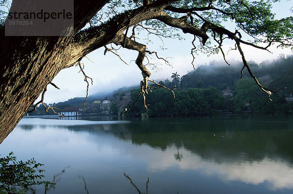 Am frühen Morgen Blick über Kandy Lake  Kandy  Sri Lanka  Asien