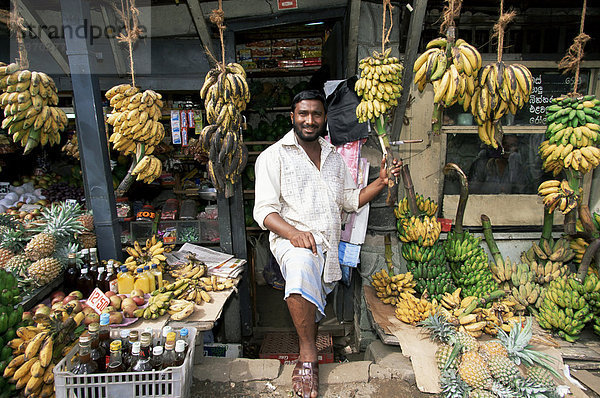 Banane Kreditor  Bandarawela  Sri Lanka  Asien