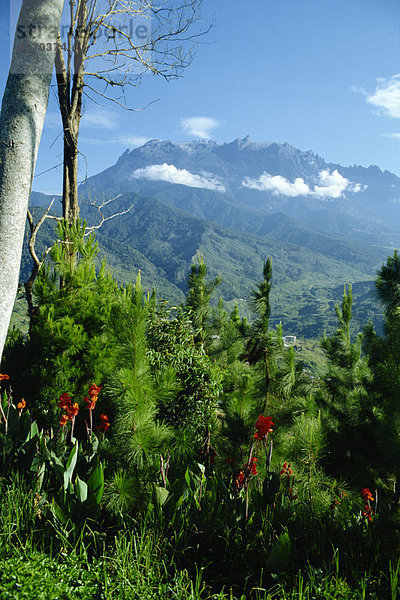 Mount Kinabalu  Sabah  Malaysia  Südostasien  Asien