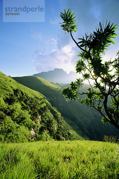 Champagne Castle Valley  Cathkin Peak  3187m  Südafrika  Afrika