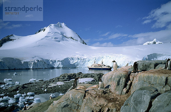 Das Kreuzfahrtschiff World Discoverer vor Anker in Port Lockroy  einmal einen zweiten Weltkrieg britische Station  jetzt ein Postamt  Antarktische Halbinsel  Antarktis  Polarregionen