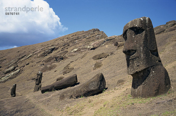 Osterinsel Rapa Nui Ende Statue innerhalb Pazifischer Ozean Pazifik Stiller Ozean Großer Ozean Bergwerk Grube Gruben Krater Raps Brassica napus UNESCO-Welterbe Chile Moai Südamerika