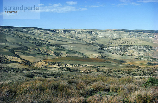 Ackerland in der Nähe von Oran  Algerien  Nordafrika  Afrika