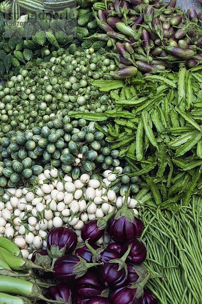 Nahaufnahme von Gemüse aus der Familie der Aubergine zum Verkauf in Thailand  Südostasien  Asien