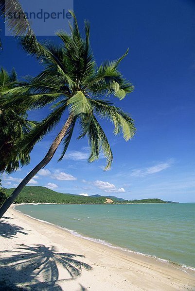 Bophut heißt Big Buddha  einem ruhigen Backpacker-Strand am Resort Insel Koh Samui  Thailand  Südostasien  Asien