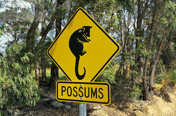 Opossums Straßenschild in der Nähe von Margaret River  Western Australia  Australien  Pazifik