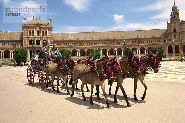 Pferde und Falle  in die Plaza de Espana in Sevilla  Andalusien  Spanien  Europa