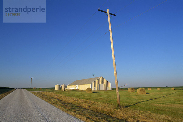 Telegrafenmast und flache Bauernhof Landschaft mit Scheune  in Hudson  Midwest  Illinois  Vereinigte Staaten von Amerika  Nordamerika
