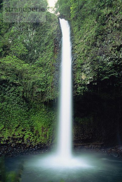 Die Rio Fortuna Wasserfälle an den Hängen des Volcan Arenal in der Provinz Alajuela  Costa Rica  Mittelamerika