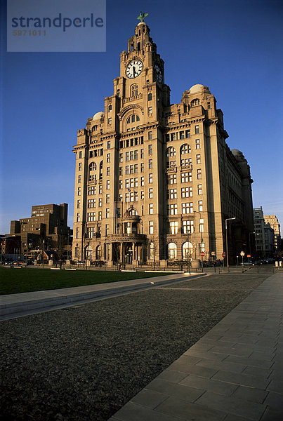 Leber-Gebäude  Liverpool  Merseyside  England  Vereinigtes Königreich  Europa