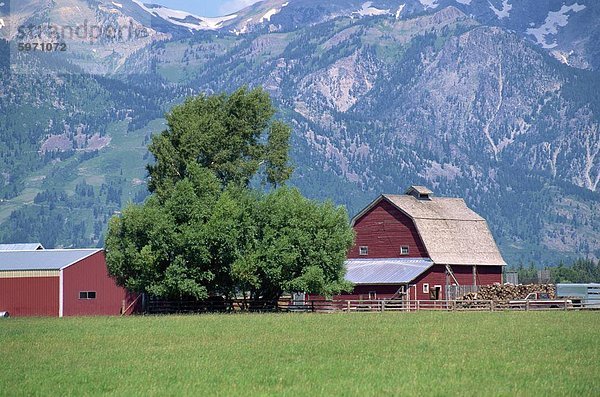 Wirtschaftsgebäude mit Berghänge hinter  Jackson Hole  Wyoming  Vereinigte Staaten von Amerika  Nordamerika