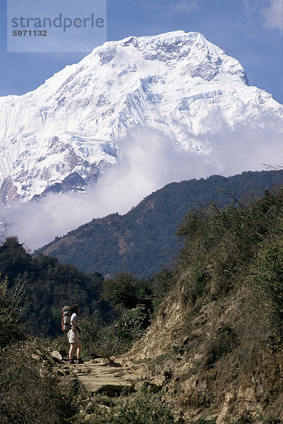 Trekking Weg zum Anapurna  Himalaya  Nepal  Asien