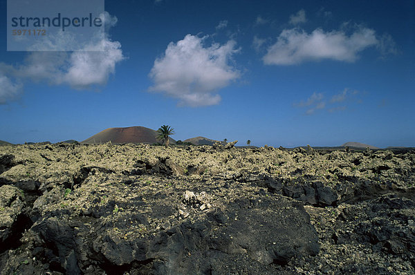 Vulkanlandschaft  Lanzarote  Kanarische Inseln  Spanien  Europa