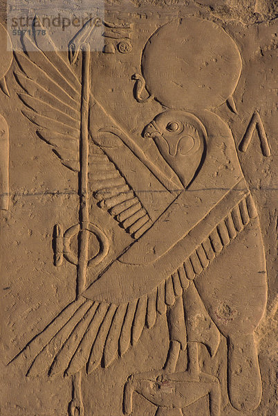 Detail der Befreiung Schnitzen der Falke (Hawk) Gott  Kom Ombo  Ägypten  Nordafrika  Afrika