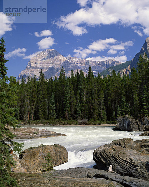 Felsen und Bäume am Fluss mit den Rocky Mountains im Hintergrund  British Columbia  Kanada  Nordamerika